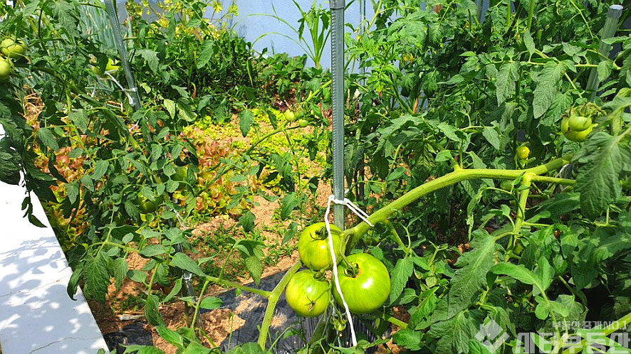 경남 밀양시 상남면 외산리 삼랑진 인근 촌집 . I/C 15 분거리 .상남면 올수리된 깨끗한 촌집 매매 매물번호 10033 사진 17