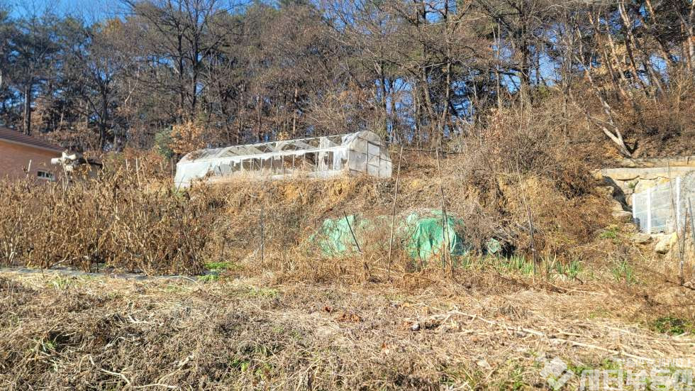 경남 밀양시 부북면 월산리 부북면 위양지 인근 전원주택 지 매매 매물번호 10308 사진 5
