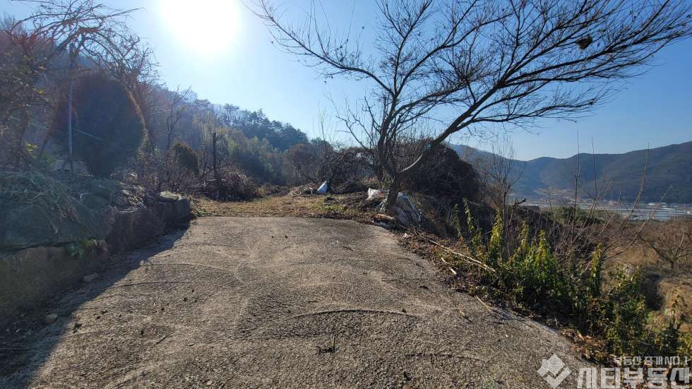 경남 밀양시 초동면 어릴적 놀던 시골 뒷 동산에 있는 옛날 집터 매매 매매 매물번호 10321 사진 2