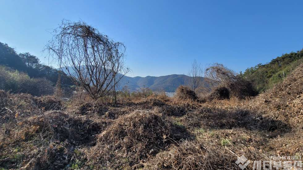 경남 밀양시 초동면 어릴적 놀던 시골 뒷 동산에 있는 옛날 집터 매매 매매 매물번호 10321 사진 9