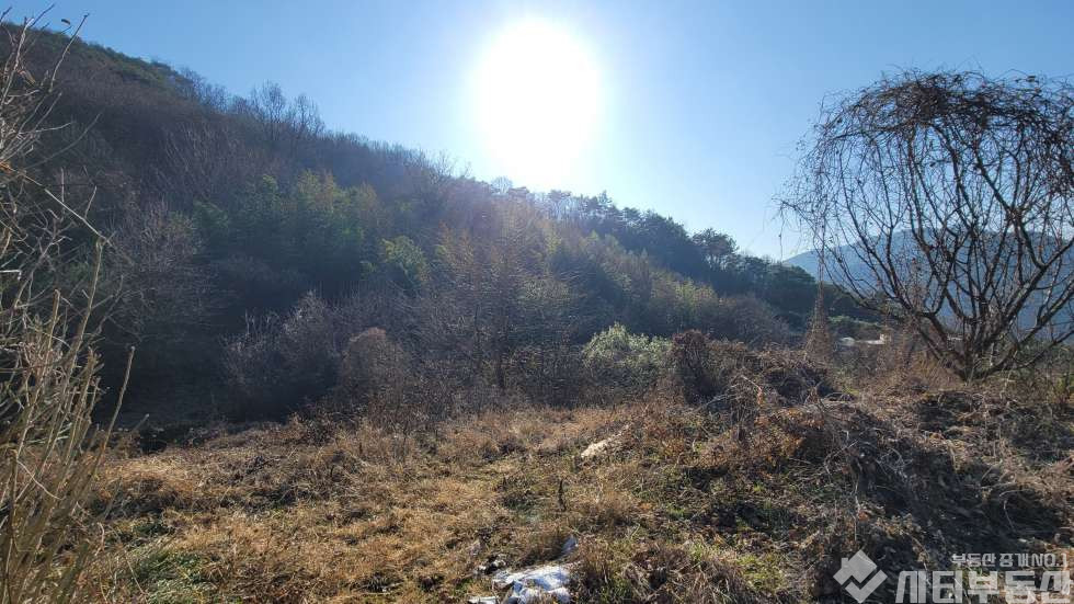 경남 밀양시 초동면 어릴적 놀던 시골 뒷 동산에 있는 옛날 집터 매매 매매 매물번호 10321 사진 11