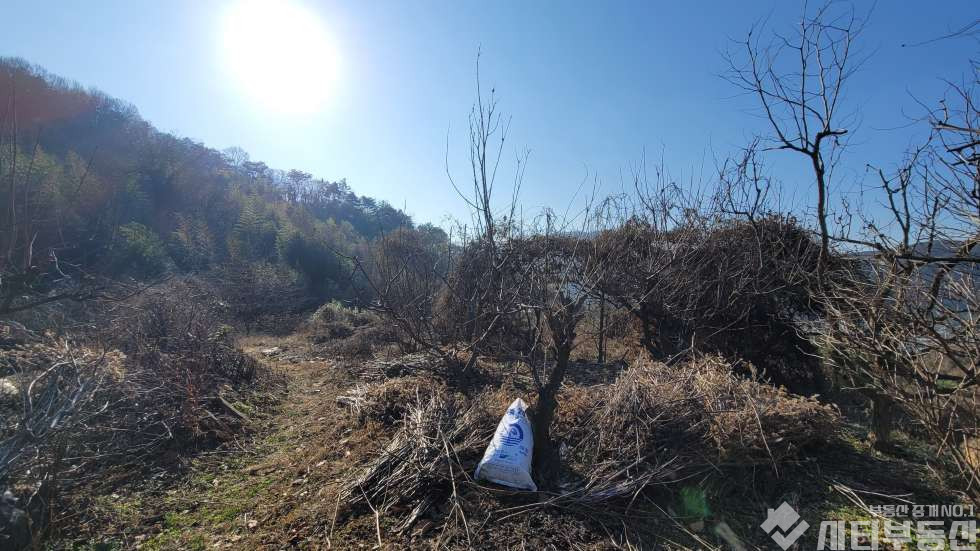 경남 밀양시 초동면 어릴적 놀던 시골 뒷 동산에 있는 옛날 집터 매매 매매 매물번호 10321 사진 12