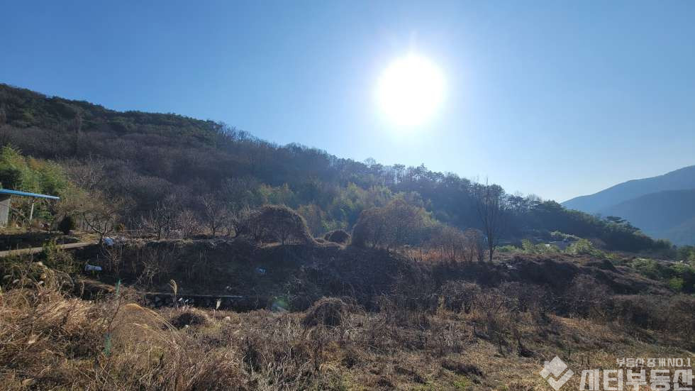 경남 밀양시 초동면 어릴적 놀던 시골 뒷 동산에 있는 옛날 집터 매매 매매 매물번호 10321 사진 14