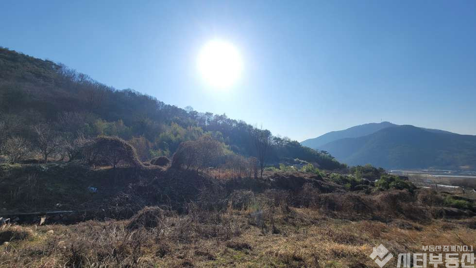 경남 밀양시 초동면 어릴적 놀던 시골 뒷 동산에 있는 옛날 집터 매매 매매 매물번호 10321 사진 15