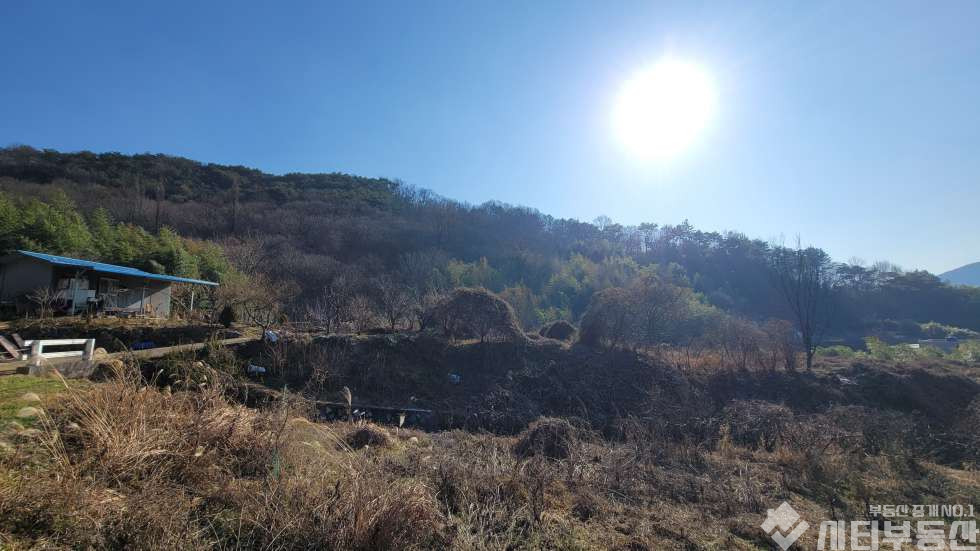 경남 밀양시 초동면 어릴적 놀던 시골 뒷 동산에 있는 옛날 집터 매매 매매 매물번호 10321 사진 16