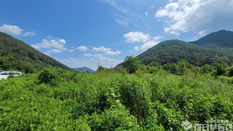 경남 밀양시 상남면 연금리 남밀양 ic 인근 반듯하고 진입하기 좋은 토지 매매 매물번호 10389 사진 10